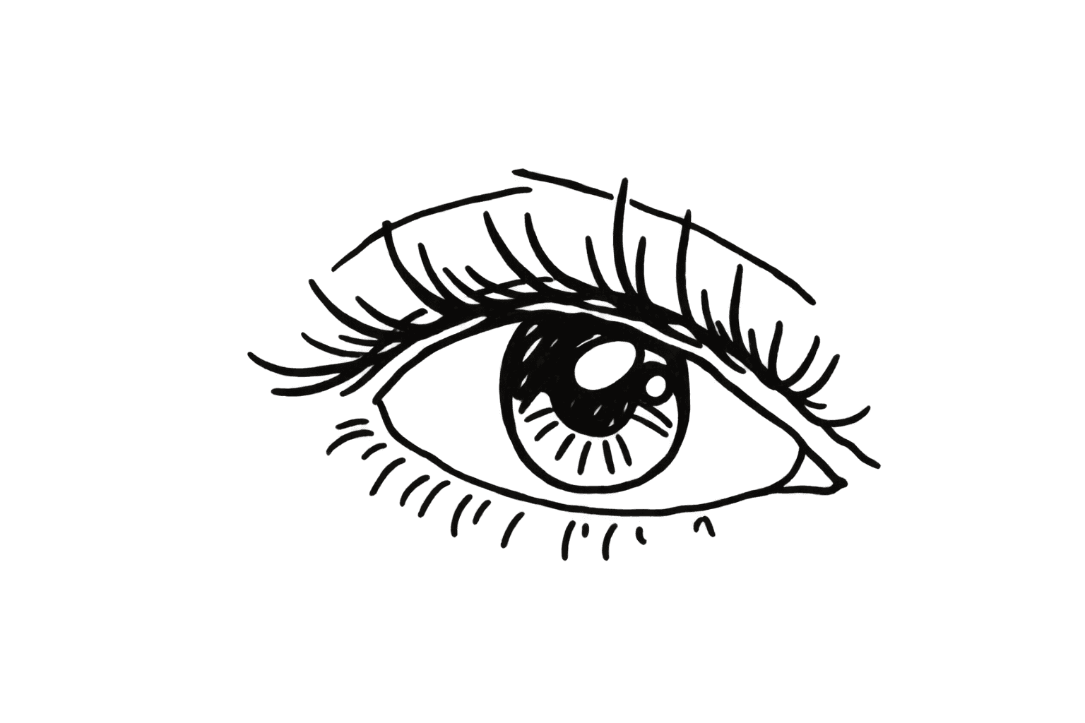 Illustration of an open eye with long, curled lashes